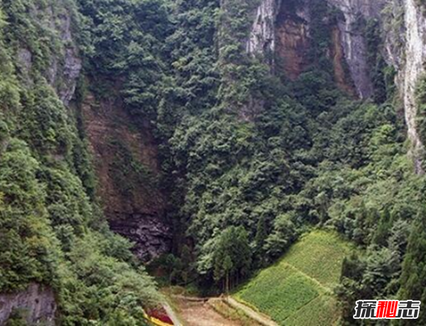 湖北利川天坑之谜,坑口直径3米多发出恶臭(腐烂棺木)